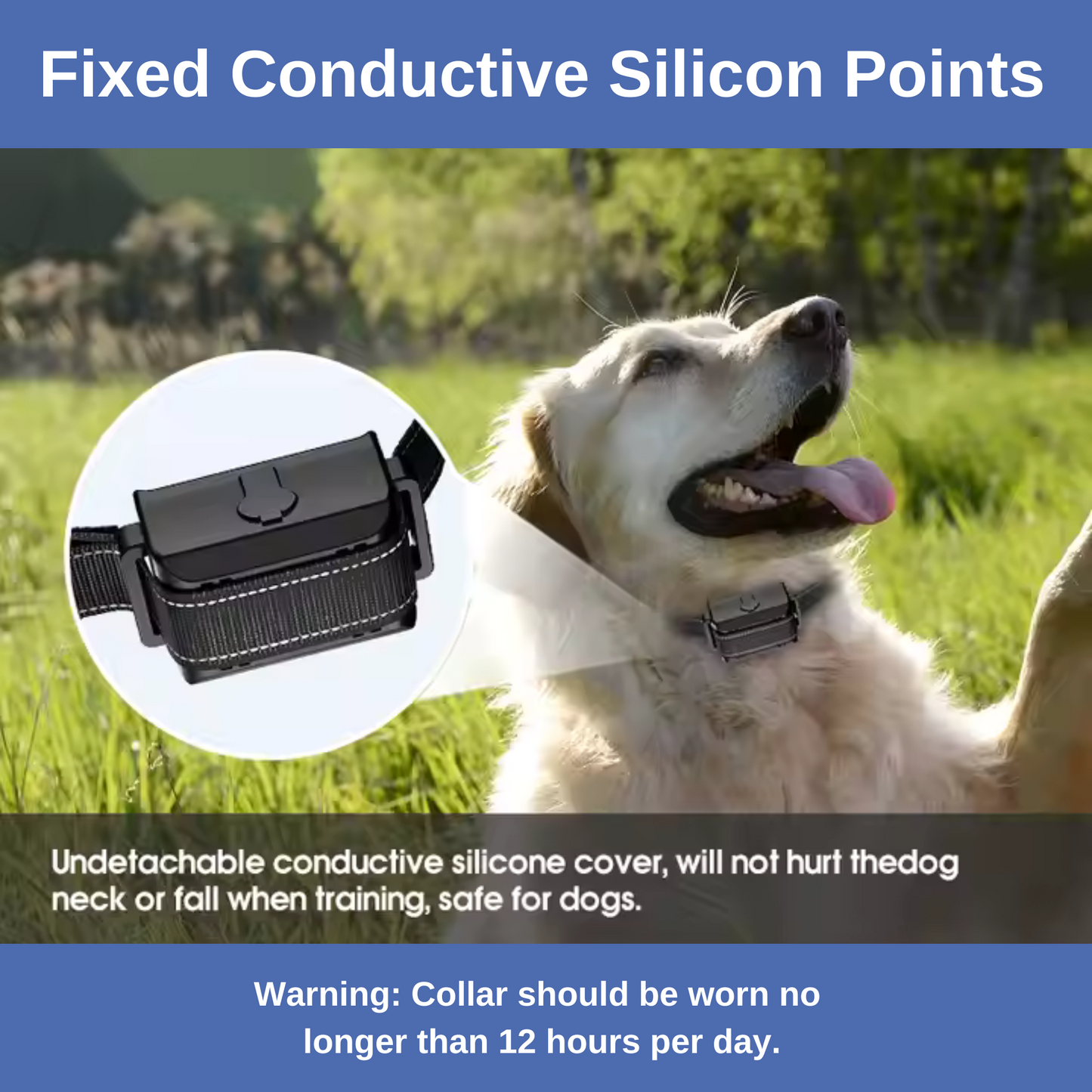 Remote & Bark Control Collar