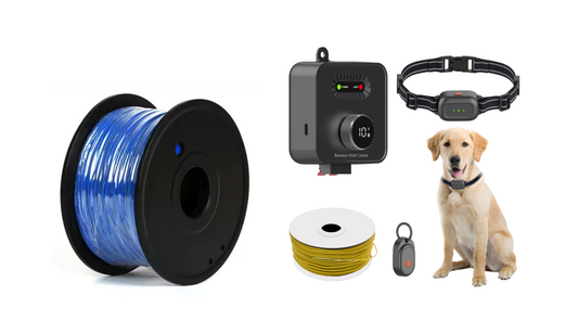 Affordable Electric Dog Fences: Keep Your Dog Safe on a Budget