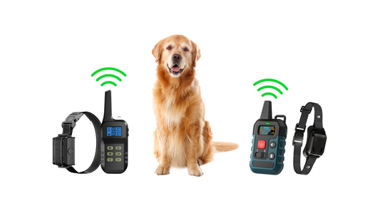 How to Train a Dog with a Remote Collar: A Comprehensive Guide