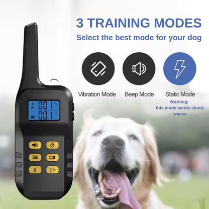 Remote & Bark Control Collar