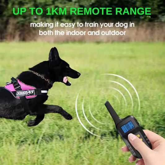 Remote & Bark Control Collar