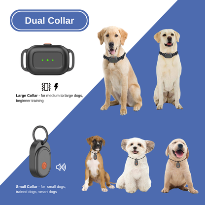 Electric In-Ground (Hidden) Dog Containment Fence