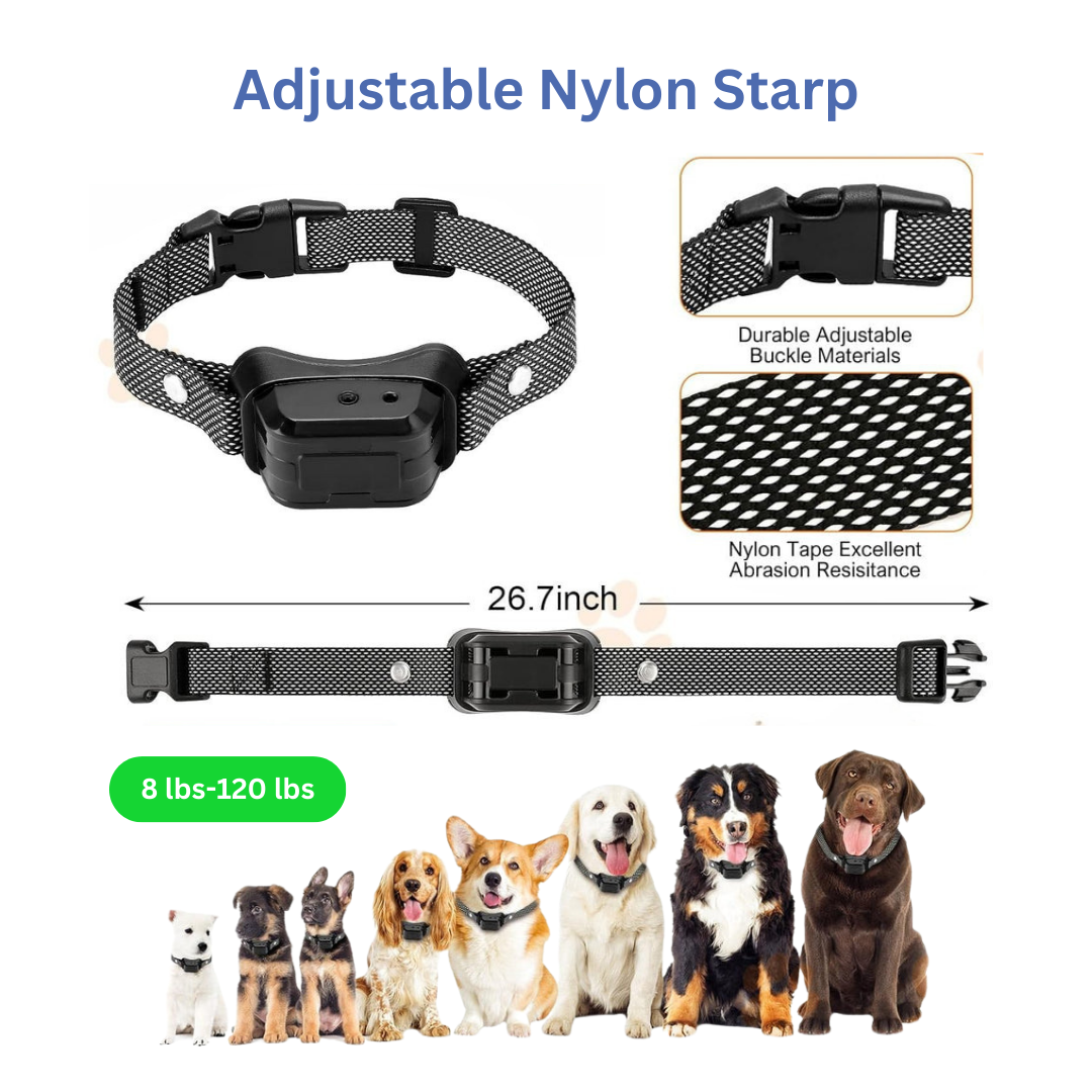 Training Citronella Remote Collar