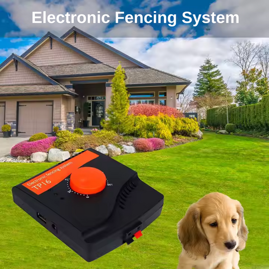 5000 square meters range electric dog fence