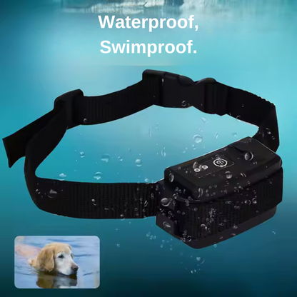5000 square meters range electric dog fence