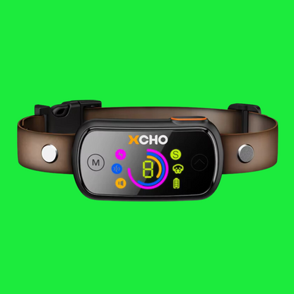 Improved Anti Bark Dog Collar