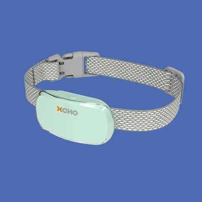 Anti Bark Dog Collar
